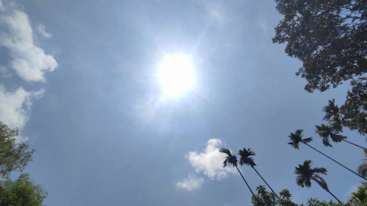 প্রখর রোদে তপ্ত হচ্ছে প্রকৃতি: টানা কয়েকদিন দেশজুড়ে বইতে পারে তাপপ্রবাহ