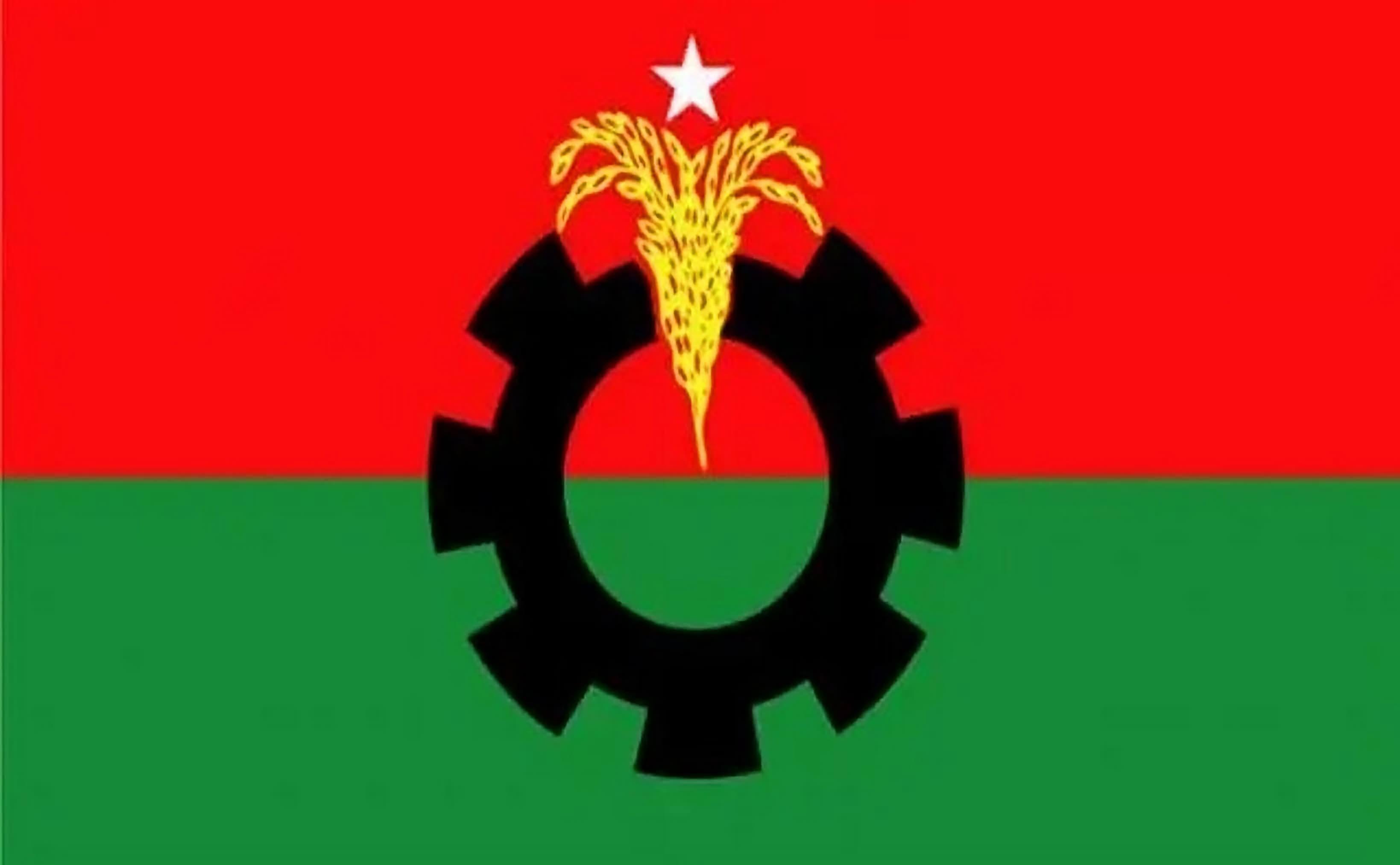 দলীয় শৃঙ্খলা ভঙ্গের অভিযোগে বিএনপির দুই নেতার পদ স্থগিত
